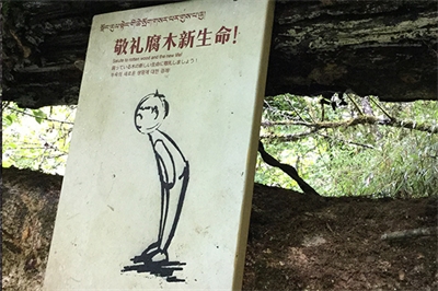 旅游景區(qū)標(biāo)牌的規(guī)劃設(shè)計(jì) 旅游景區(qū)標(biāo)牌的規(guī)劃設(shè)計(jì)