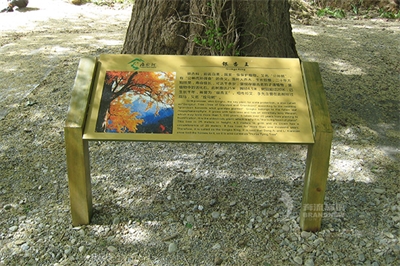 旅游景區標識的發展前景及設計應用（一）